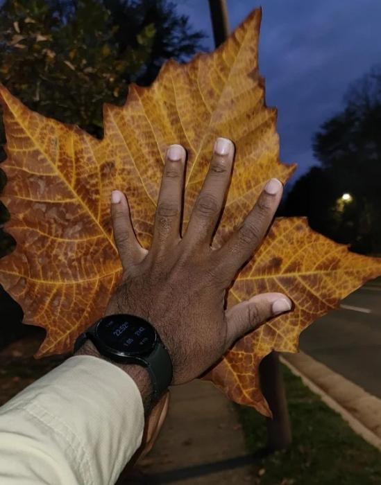 34 Fascinating Photos To Consider.