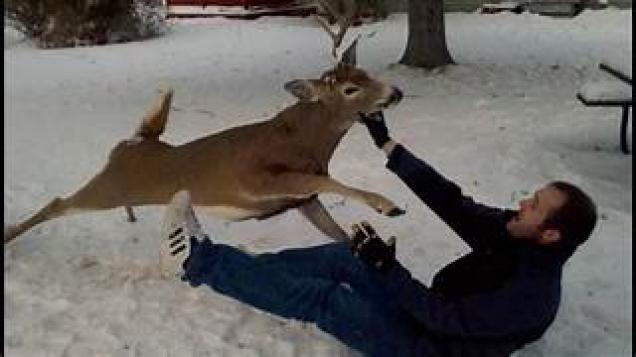 Dude Finds Himself In A Fight With A Deer.