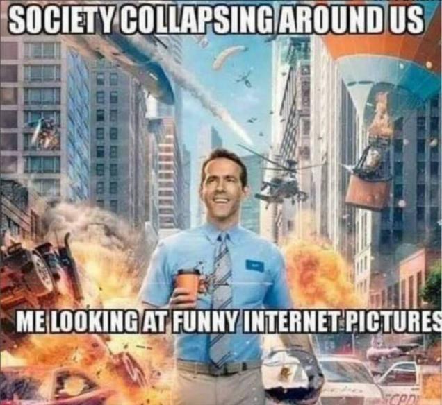 44 Awesome Pics and Memes for your Pleasure