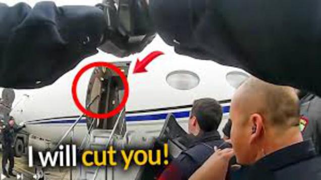 Man Attempts to Hijack Plane After Crashing Through Airport Gate