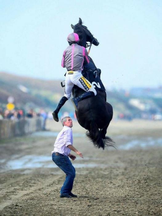 37 Fantabulous Pics and Memes To Kill Some Time