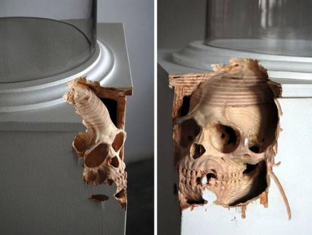 maldonado213 Random Pictures From The Interweb 321