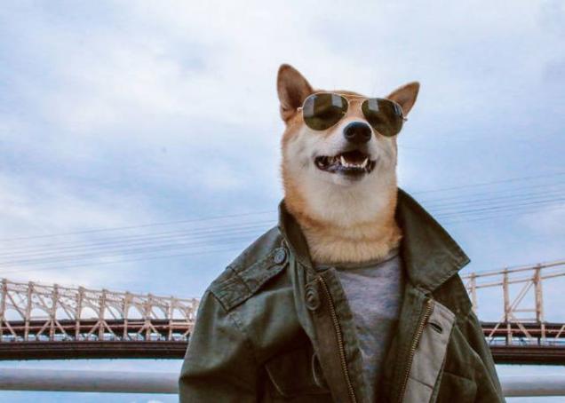 Too All You Haters Hating On My Last Gallery..(maybe cuz it got featured and yoursall didnt)