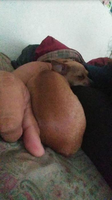 maldonado213 Random Pictures From The Interweb 491