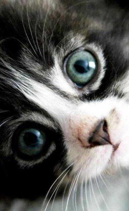 Just More Random stuff...