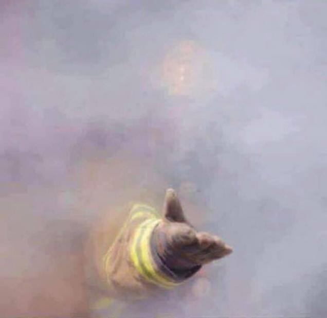 Just Some Pics.........