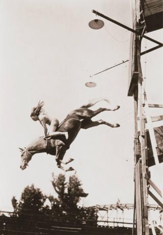 Diving Horses