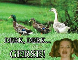 randy pics that pick up chicks