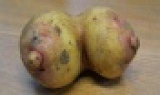 19 FRUITS AND VEGETABLES THAT LOOK LIKE SEXY BODY PARTS