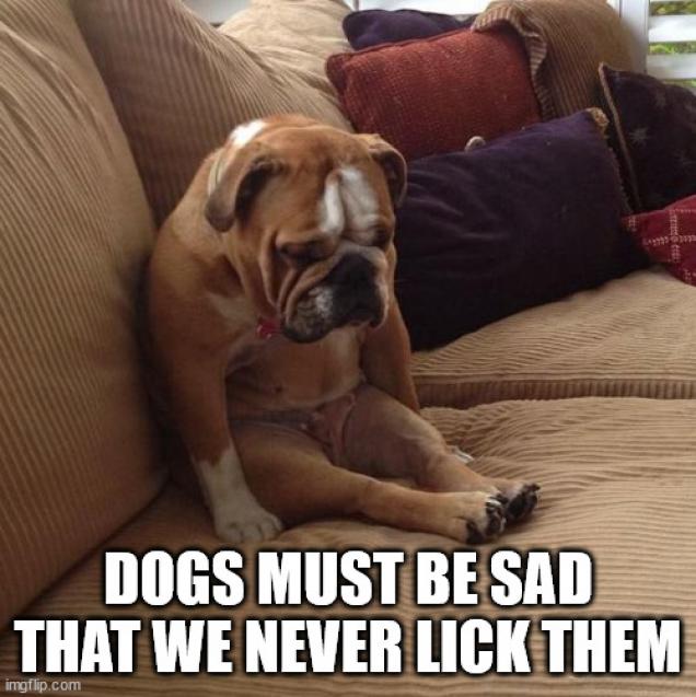 Shower Thoughts to Fog Your Mirror