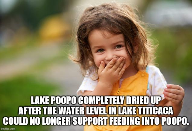 40 Fun Facts For You