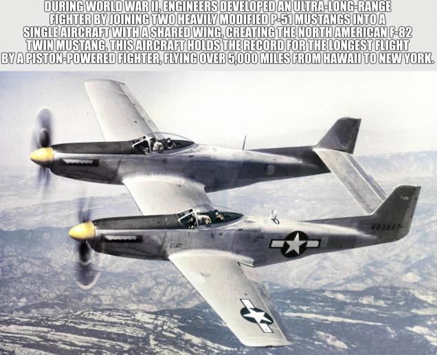 40 For your Factual Friday Funtime