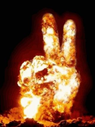 Fire and Explosions with a turtleburger!