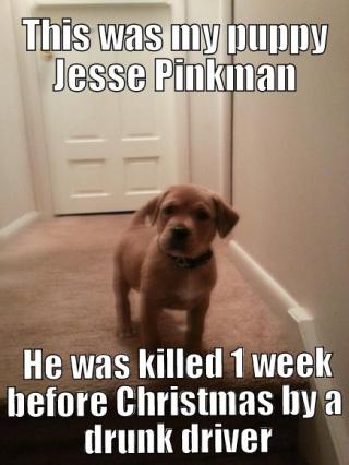 This is who Drunk Driving Hurts