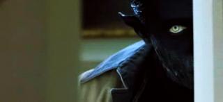 Sonics Nifty Nightcrawler Gallery