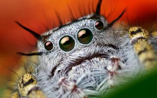 Good Night - Hope you all sleep well