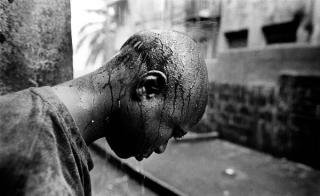 Daily shocking pictures