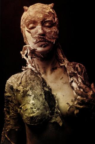 Daily Unbelievable Pictures