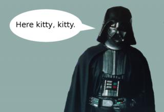 Darth Vader's Cat