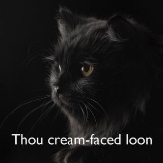 Shakespearean Insults, With Cats