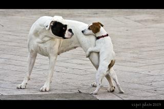 Ward's Random Picture Dump