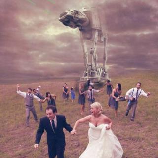 Funny Wedding Moments