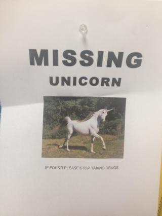 Most Important Things Ever Found On A Bulletin Board!!