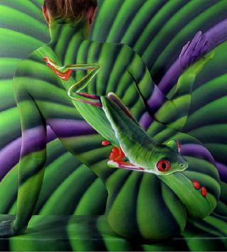 A Collection Of Optical illusions