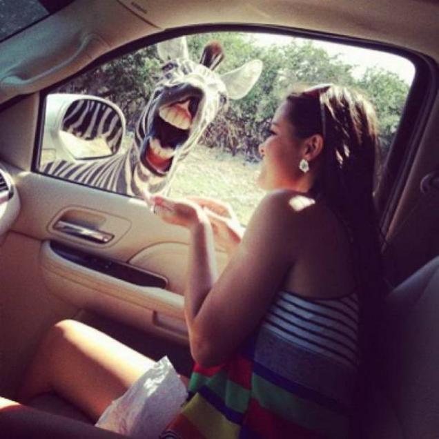 44 Fantabulous Photos To Kill Some Time