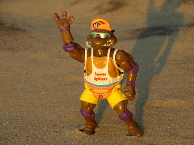 34 random pics and memes to peruse while you poo