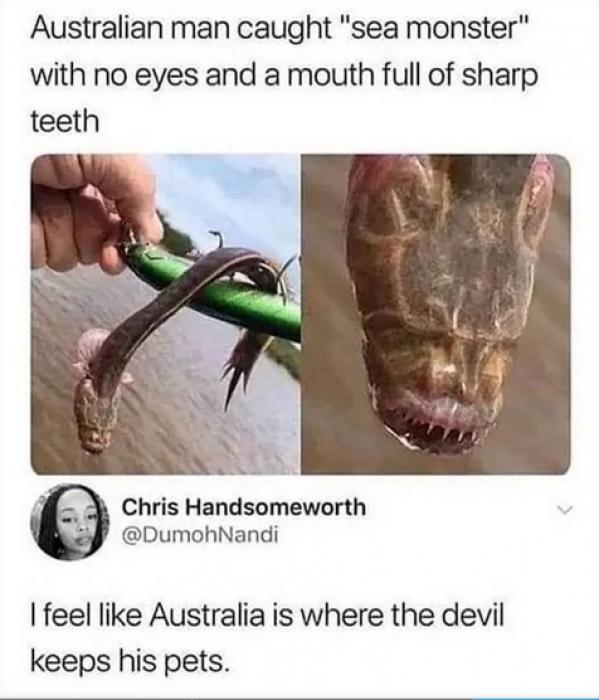 53 super fun filled pics and memes I found next to your moms dildo