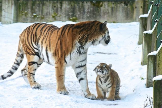 Paul Revered's Picture Paradise