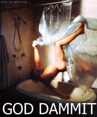 My Daily Funny Pictures