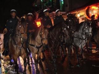 The Day After Mardi Gras Aftermath