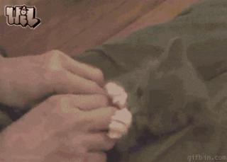 Lord of the Clit Rings 15