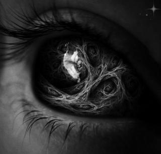 Dantes Wings Gifs n Things