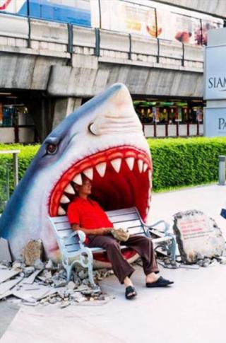 It's A Weird World We Live In