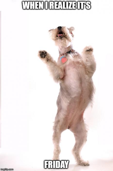 Because tomorrow is Friday