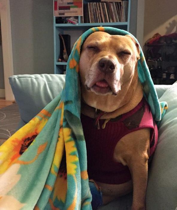 16 animals whose faces say everything