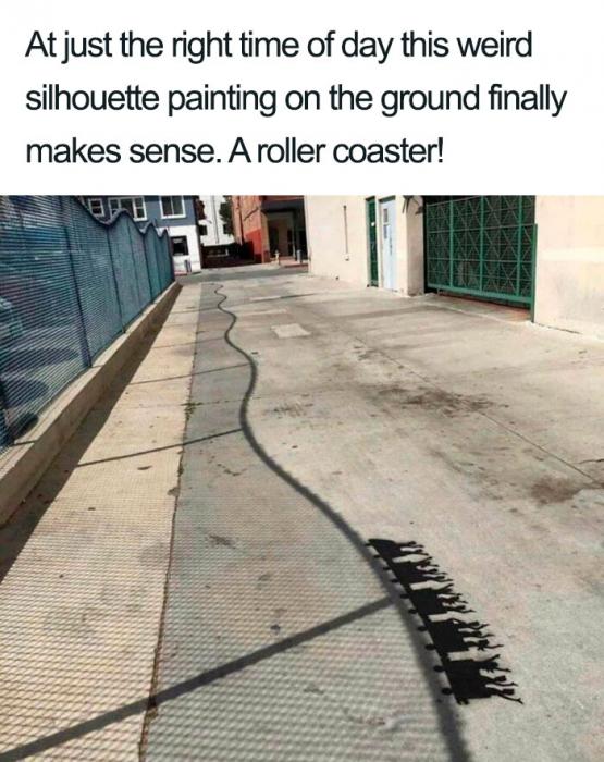 36 random weird things