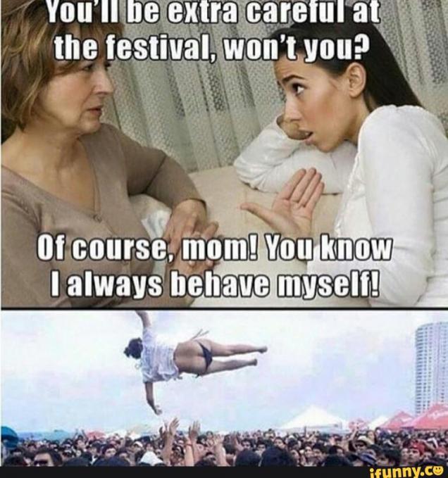 35 memes that accurately sum up music festivals