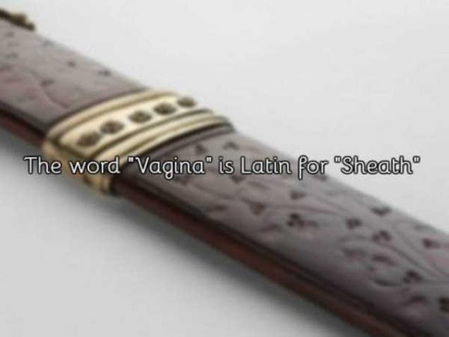 Vagina Facts That All Grown Ups Should Know About Feels Gallery EBaum S World