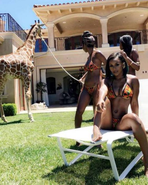 Lunch Break - 3.13.17