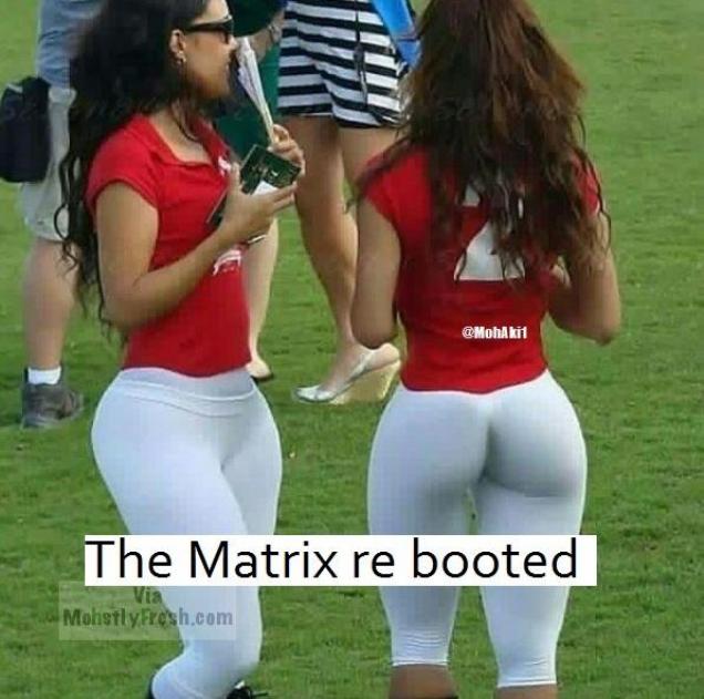 50 funny Memes guaranteed to get you over the Hump