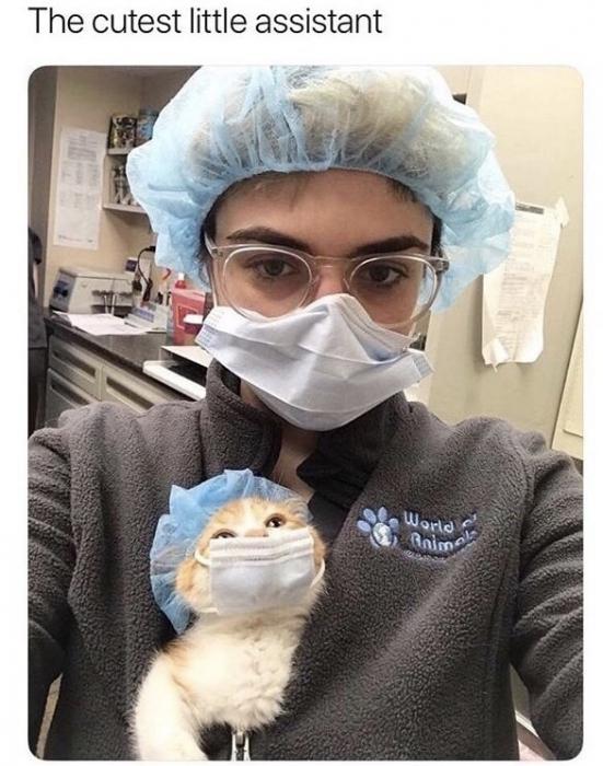 Enjoy some fresh dank memes for the weekend