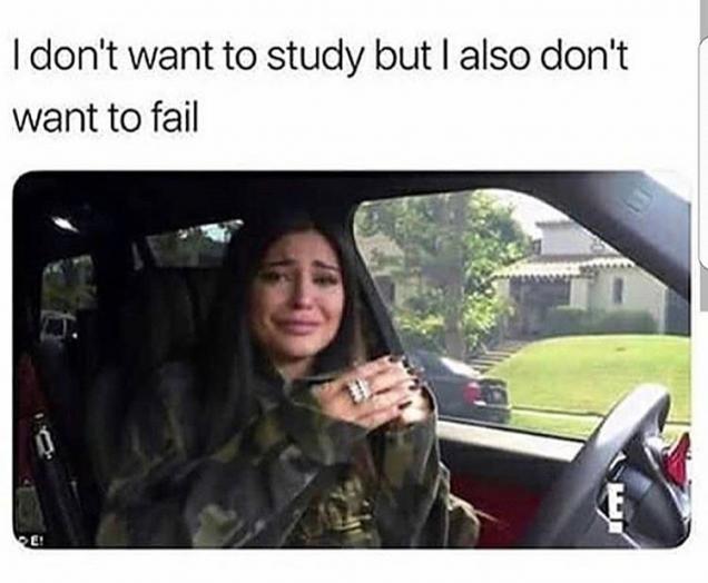 53 Monday fresh memes to start the working week with a laugh