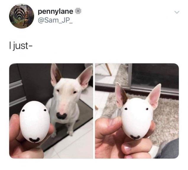 40 Randoms To Add A Bit Of Joy To Your Day.