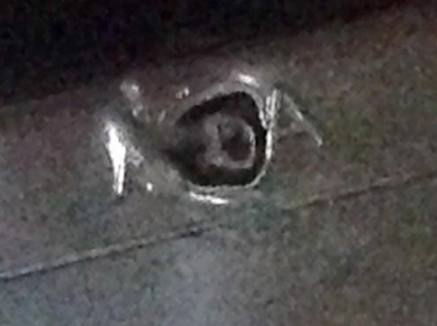 Some Organic Looking Alien Technology