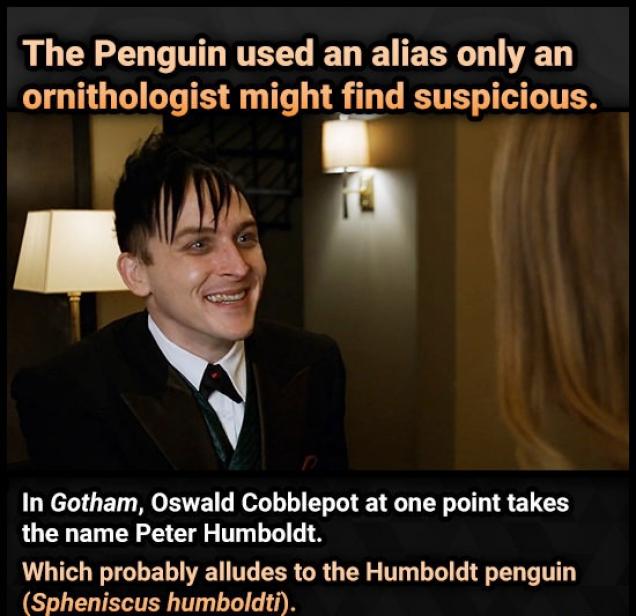 14 Jokes In Movies And Shows You Have To Be A Genius To Get