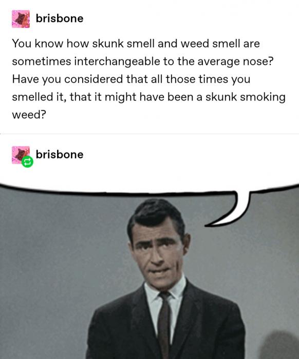 Thirty-Three Puns And Dad Jokes That'll Make You Facepalm